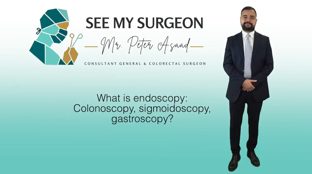 What is endoscopy, colonoscopy, sigmoidoscopy video